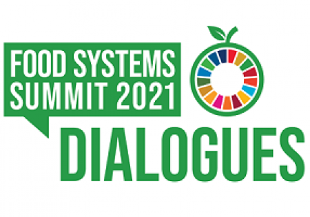 The United Nations Food Systems Summit