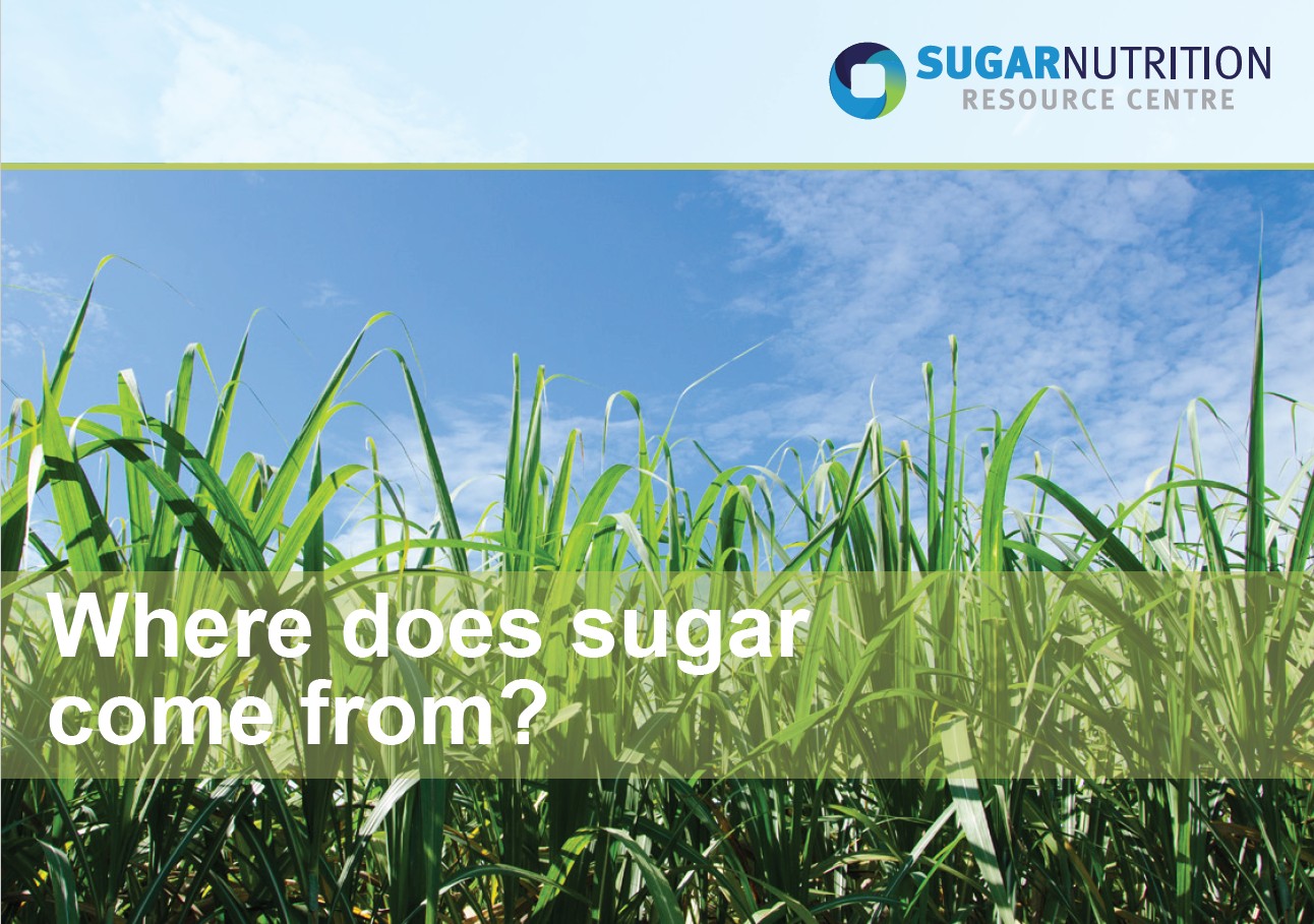 Where does sugar come from?